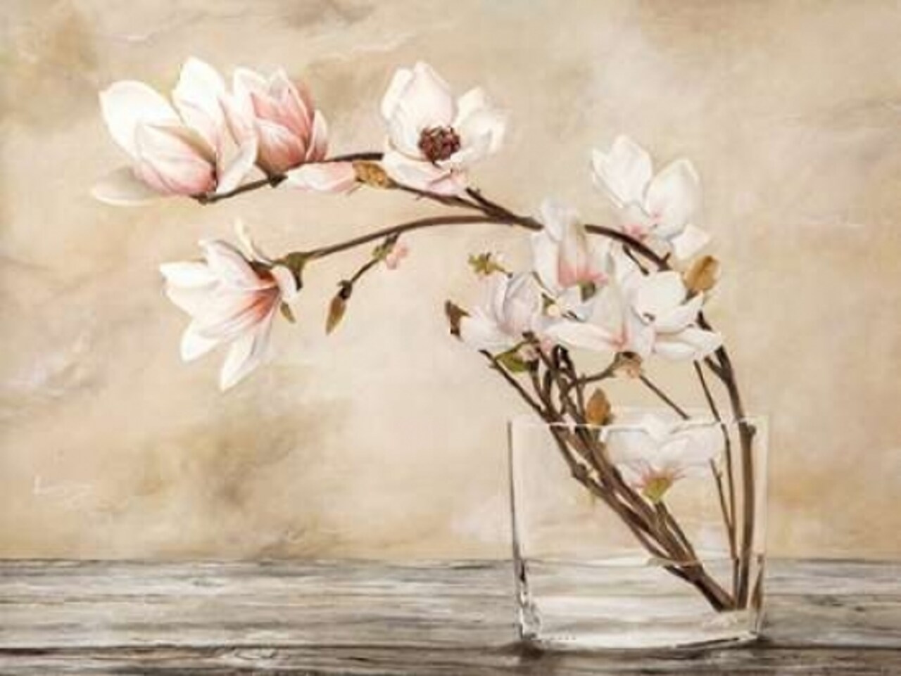 Fiori di magnolia Poster Print by Cristina Mavaracchio - Item # VARPDX3MV3469